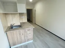 Pronájem bytu 1+kk, Praha - Hlubočepy, Na Zlíchově, 18 m2