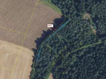 Dražba lesa, Bělá nad Svitavou, 327 m2