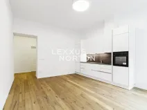 Pronájem bytu 2+kk, Praha - Vinohrady, Třebízského, 71 m2