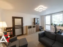 Prodej bytu 2+1, Brno, Luční, 50 m2