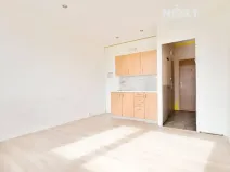Pronájem bytu 1+kk, Žatec, Ostrov, 20 m2