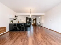 Prodej bytu 2+kk, České Budějovice, Rudolfovská tř., 96 m2