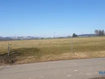 Prodej louky, Police nad Metují, 8790 m2