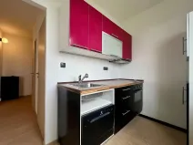 Pronájem bytu 1+1, Praha - Michle, U Botiče, 38 m2