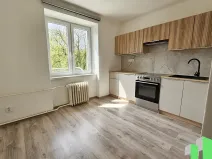 Pronájem bytu 1+1, Ostrava, Čujkovova, 27 m2