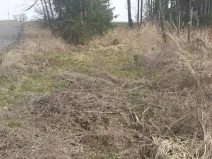 Prodej lesa, Dolní Hořice, 3279 m2