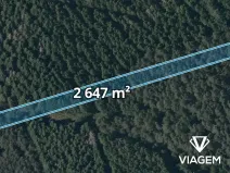 Prodej lesa, Dvory nad Lužnicí, 2647 m2