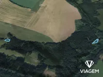 Prodej lesa, Příkrý, 917 m2