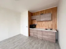 Pronájem bytu 1+kk, Chomutov, Seifertova, 22 m2