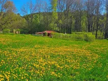 Dražba pozemku pro bydlení, Omlenice, 4505 m2