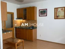 Pronájem bytu 1+kk, Praha - Libeň, Kurta Konráda, 29 m2