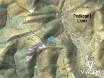 Prodej lesa, Podkopná Lhota, 2034 m2