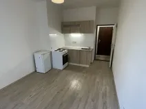Pronájem bytu 1+kk, Praha - Žižkov, Zelenky-Hajského, 18 m2