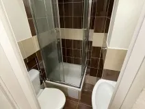 Pronájem bytu 1+kk, Praha - Žižkov, Zelenky-Hajského, 18 m2