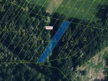 Dražba lesa, Přerov, 1205 m2
