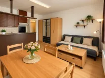 Pronájem bytu 1+kk, Praha - Nusle, Nad Jezerkou, 37 m2