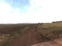 Prodej pole, Budyně nad Ohří, 899 m2
