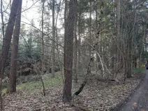 Prodej pozemku, Probulov, 3017 m2