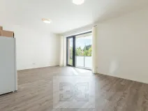 Pronájem bytu 1+kk, Plzeň, Na Průhonu, 37 m2