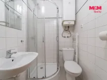 Prodej bytu 1+kk, Praha - Nusle, Krokova, 17 m2