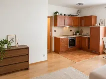 Pronájem bytu 1+kk, Praha - Smíchov, Plzeňská, 32 m2
