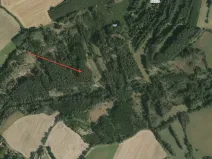 Prodej lesa, Koberovice, 19133 m2