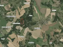 Prodej lesa, Koberovice, 19133 m2