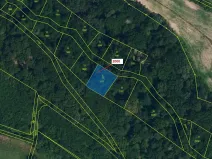 Dražba lesa, Hluboké Mašůvky, 504 m2