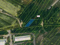 Dražba lesa, Horní Dunajovice, 245 m2