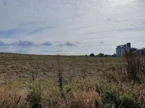 Prodej komerčního pozemku, Osová Bítýška, 12981 m2