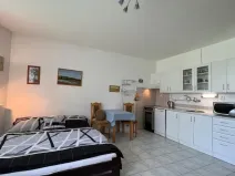 Prodej bytu 1+kk, Třeboň - Třeboň II, U Francouzů, 36 m2