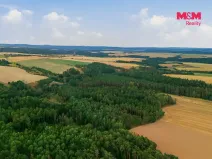 Prodej lesa, Břežany, 3520 m2