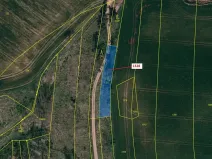 Dražba lesa, Vladislav, 662 m2