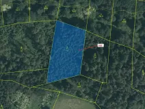 Dražba lesa, Zvěstov, 3010 m2