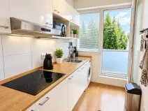 Prodej bytu 2+1, Nový Jičín, Suvorovova, 44 m2