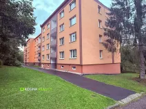 Pronájem bytu 2+1, Sokolov, Seifertova, 54 m2
