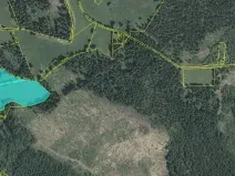 Prodej louky, Pernink, 25316 m2