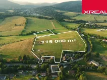 Prodej komerčního pozemku, Mladé Buky, 114943 m2