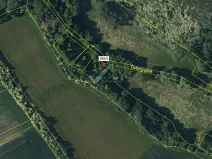 Dražba lesa, Břežany, 63 m2