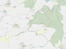 Dražba lesa, Jaroměřice nad Rokytnou, 482 m2