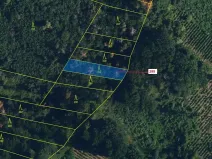 Dražba lesa, Jaroměřice nad Rokytnou, 482 m2