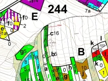 Dražba lesa, Vladislav, 381 m2