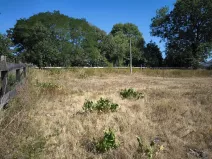 Prodej pozemku pro bydlení, Tučapy, 1826 m2