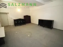 Prodej skladu, Plzeň, Francouzská třída, 39 m2