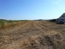 Prodej pozemku pro bydlení, Březejc, 4931 m2