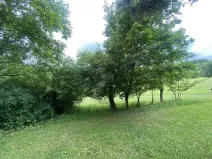 Prodej pozemku, Třebívlice - Skalice, 343 m2