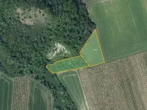Prodej sadu/vinice, Želkovice, 133318 m2
