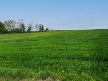 Prodej komerčního pozemku, Žirovnice, 10581 m2