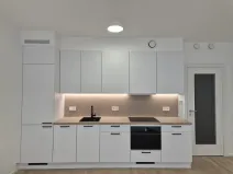 Prodej bytu 1+kk, Praha - Žižkov, Kaplířova, 43 m2