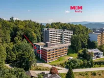 Prodej bytu 1+1, Příbram - Příbram II, Dlouhá, 31 m2